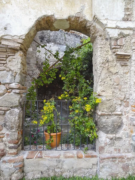 Old window frame decoted with flowering plants, Antigua - Guatemala