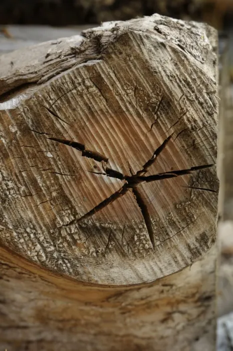 Framed Print : Old wood with cracks Framed Print : Old wood with cracks