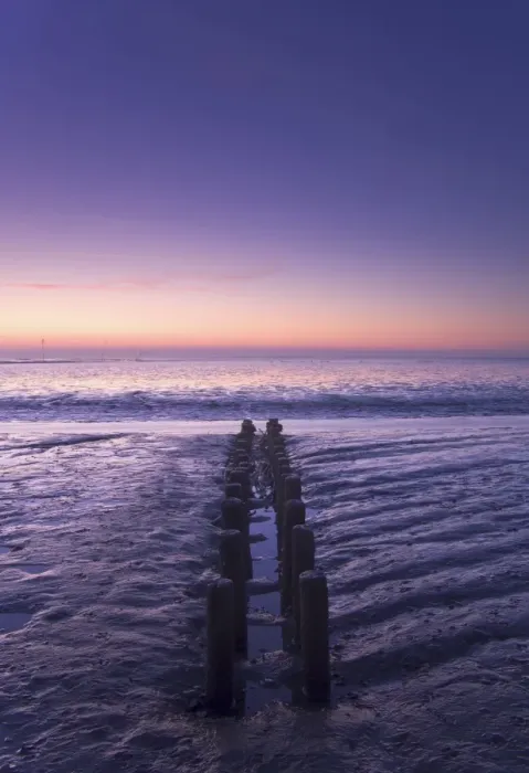 Framed Print : Old wooden groyne in the Wadden Sea, North Sea, Spieka-Neufeld, Lower Saxony, Germany, Europe Framed Print : Old wooden groyne in the Wadden Sea, North Sea, Spieka-Neufeld, Lower Saxony, Germany, Europe