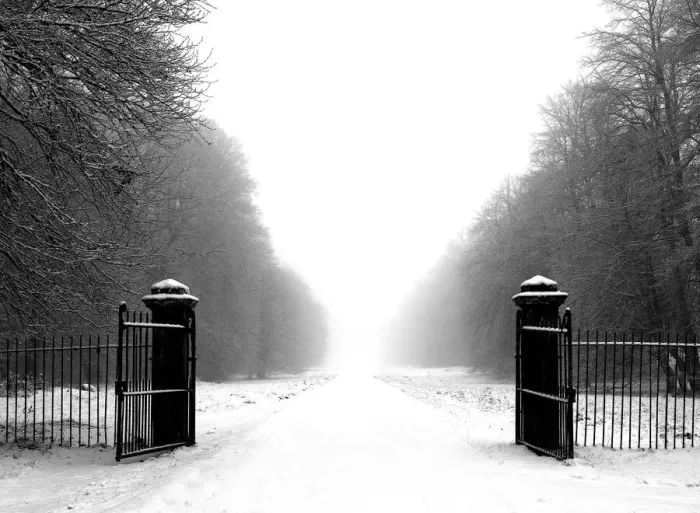 Framed Print : Old wrought iron gates Framed Print : Old wrought iron gates