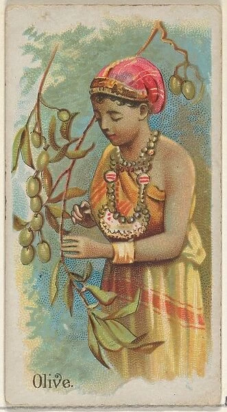 Olive Trade Card 1891
