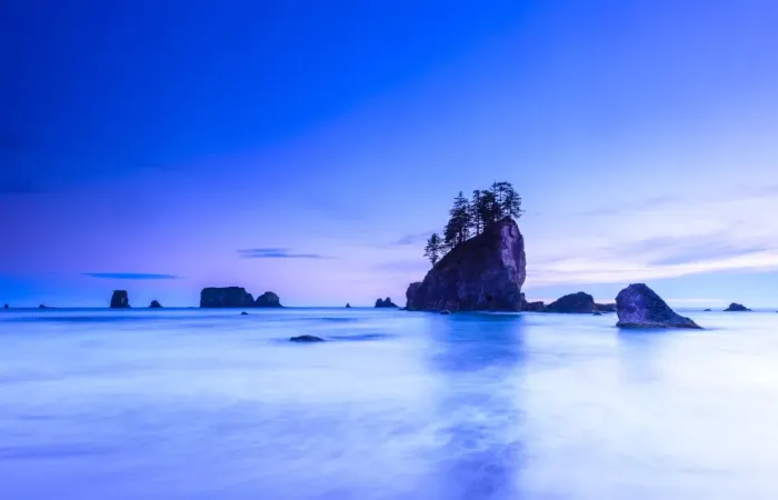 Framed Print : Olympic National Park coastline