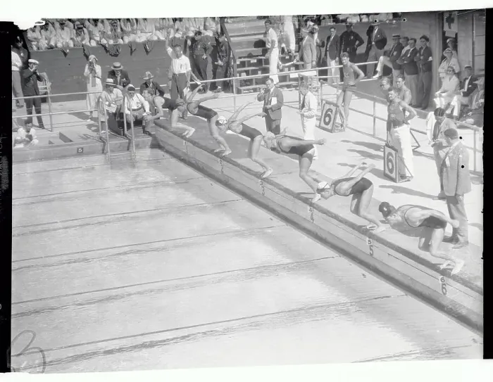 Framed Print : Olympic Swimmers Diving into Pool Framed Print : Olympic Swimmers Diving into Pool