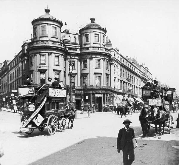 Omnibuses On The Strand