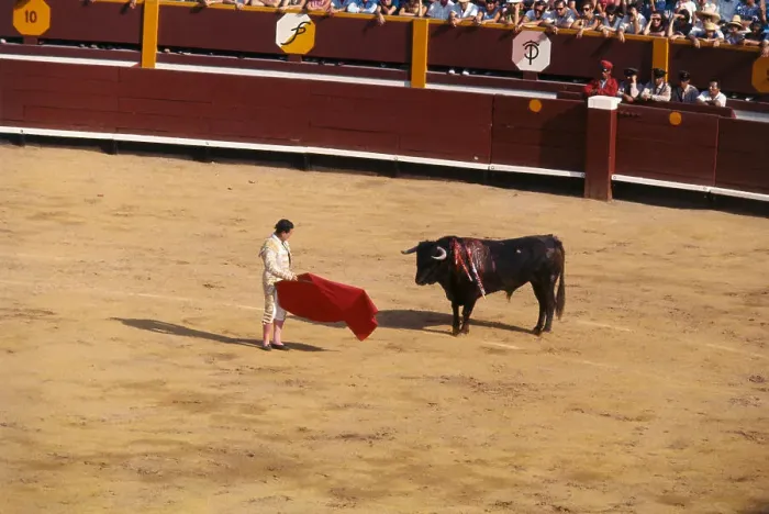 Framed Print : Opening Bullfight Framed Print : Opening Bullfight