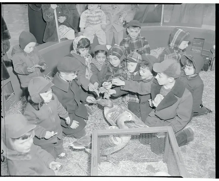 Framed Print : Opening Day of Children's Zoo, Bronx Park Framed Print : Opening Day of Children's Zoo, Bronx Park