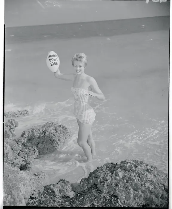 Framed Print : Orange Bowl Queen Lynn Brown Framed Print : Orange Bowl Queen Lynn Brown