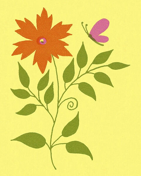 Orange Flower and Butterfly