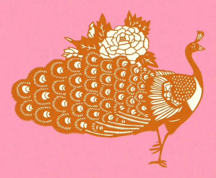 Framed Print : Orange Peacock Framed Print : Orange Peacock