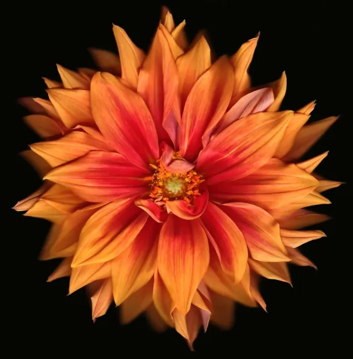 Framed Print : Orange Turmoil Framed Print : Orange Turmoil