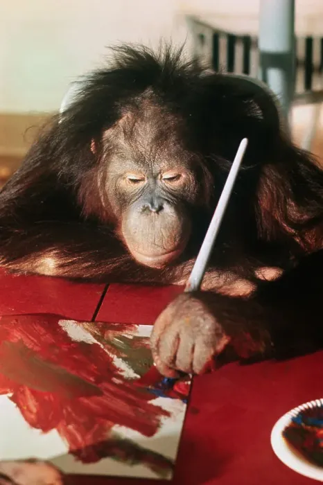 Framed Print : Orangutan Painting