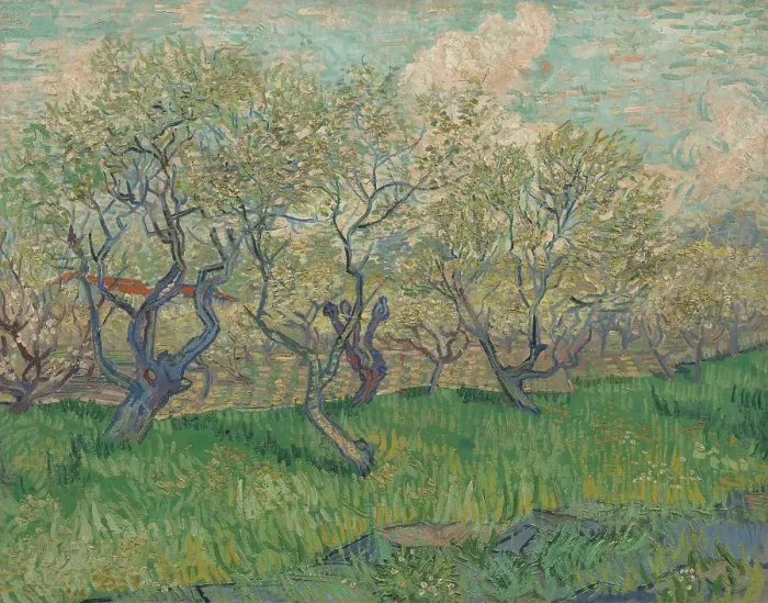 Framed Print : Orchard In Blossom Framed Print : Orchard In Blossom