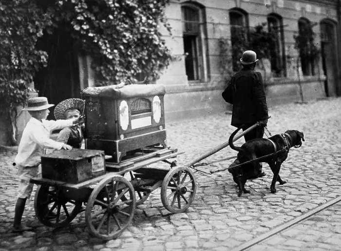Framed Print : Organ Grinder Framed Print : Organ Grinder
