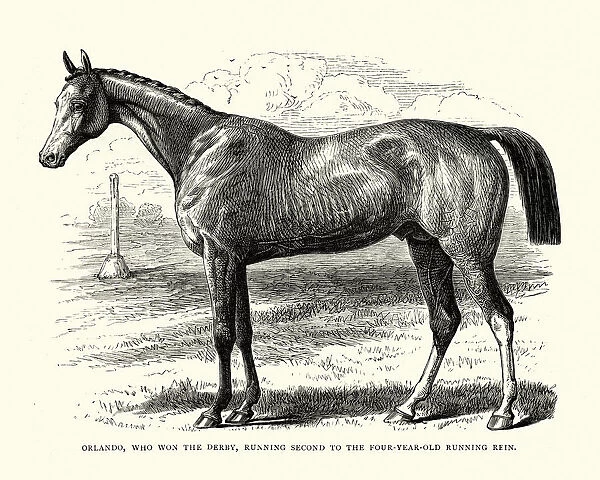 Orlando, a British Thoroughbred racehorse, 19th century