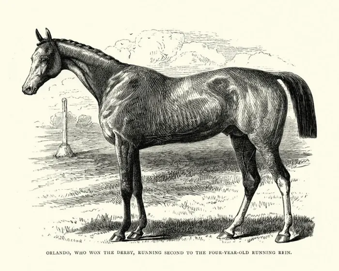 Framed Print : Orlando, a British Thoroughbred racehorse, 19th century Framed Print : Orlando, a British Thoroughbred racehorse, 19th century