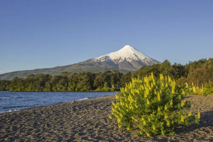 Framed Print : Osorno volcano and the shore of the bay of Lake Llanquihue, Puerto Varas, Los Lagos Region, Chile Framed Print : Osorno volcano and the shore of the bay of Lake Llanquihue, Puerto Varas, Los Lagos Region, Chile