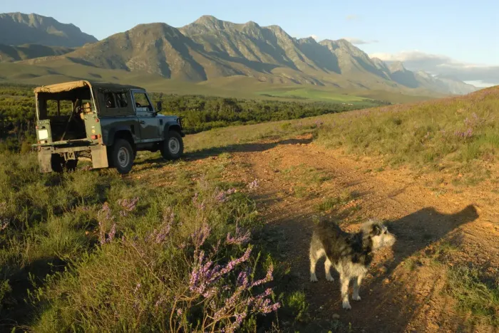 Framed Print : Outdoor life with dog and 4x4 in the spring, Riviersonderend mountains near Greyton, Overberg, Western Cape Province, South Africa Framed Print : Outdoor life with dog and 4x4 in the spring, Riviersonderend mountains near Greyton, Overberg, Western Cape Province, South Africa