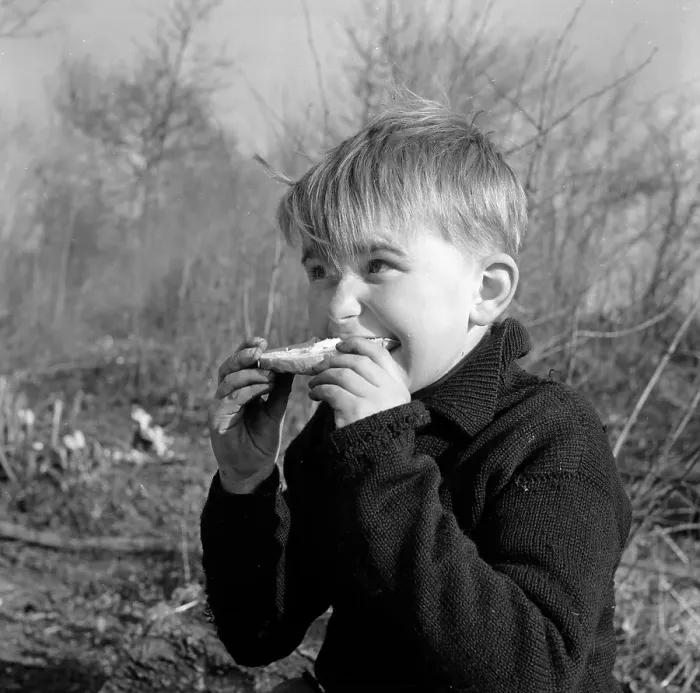 Framed Print : Outdoor Snack Framed Print : Outdoor Snack