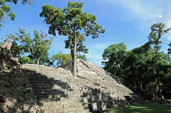 Overgrown Ancient Mayan Ruins at Copan, Honduras