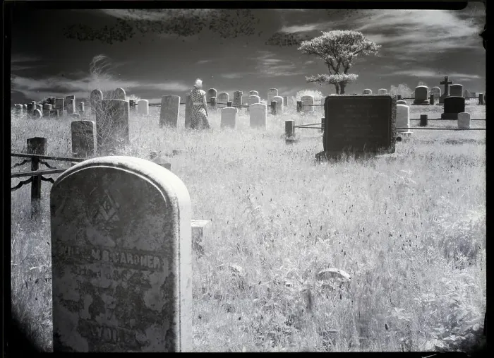 Framed Print : Overgrown Cemetery Framed Print : Overgrown Cemetery