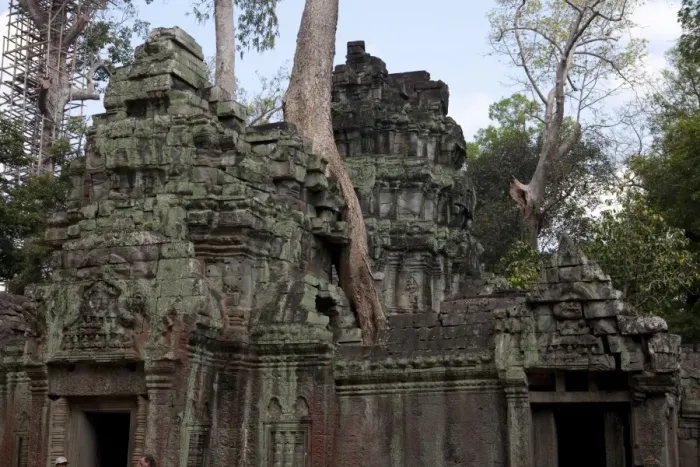 Framed Print : Overgrown Tree on Ta Prohm Ruins Framed Print : Overgrown Tree on Ta Prohm Ruins