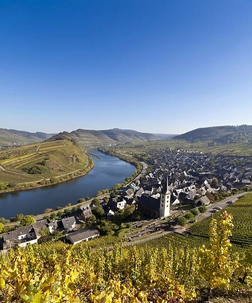 Overlooking Bremner with a Moselle bend, Landkreis Cochem-Zell district, Rhineland-Palatinate, Germany, Europe