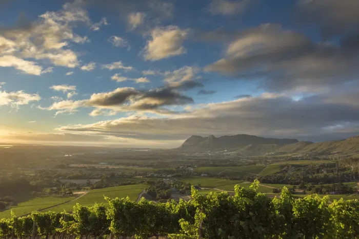 Framed Print : Overlooking False Bay from Klein Constantia, Cape Town. RSA Framed Print : Overlooking False Bay from Klein Constantia, Cape Town. RSA