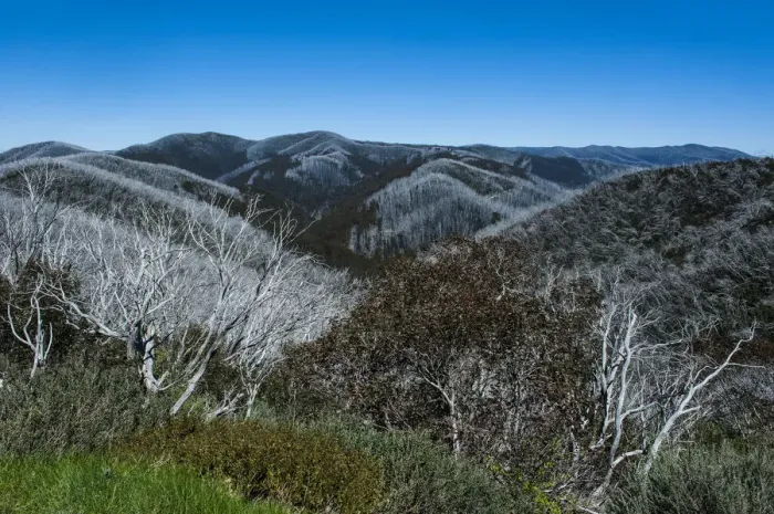 Framed Print : Overlooking the Victorian Alps mountain range, Victoria, Australia Framed Print : Overlooking the Victorian Alps mountain range, Victoria, Australia