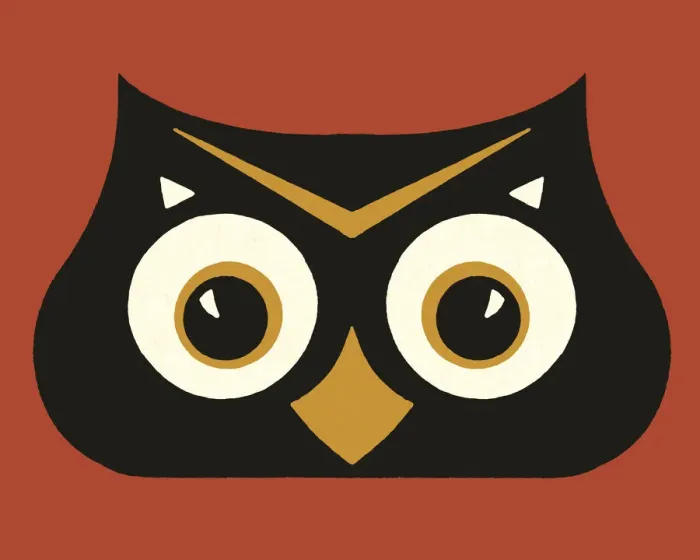 Framed Print : Owl Face Framed Print : Owl Face