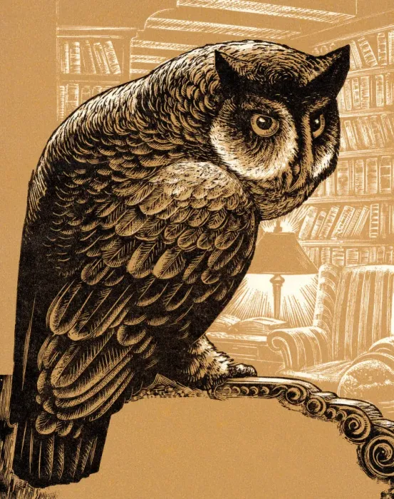 Framed Print : Owl Perched on a Branch Framed Print : Owl Perched on a Branch