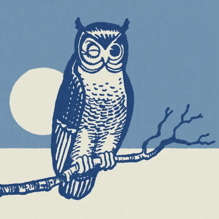 Framed Print : Owl Perched on a Branch Framed Print : Owl Perched on a Branch
