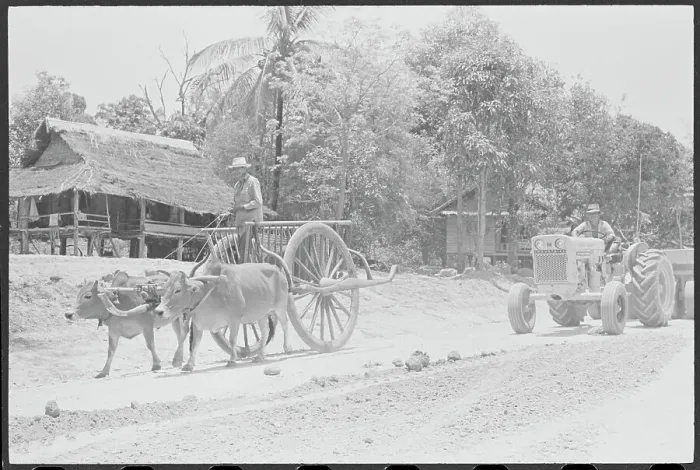 Framed Print : Ox Drawn Cart Traveling on Road Framed Print : Ox Drawn Cart Traveling on Road