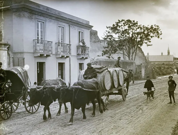 Framed Print : Oxcart Loaded With Casts Of Wine Framed Print : Oxcart Loaded With Casts Of Wine
