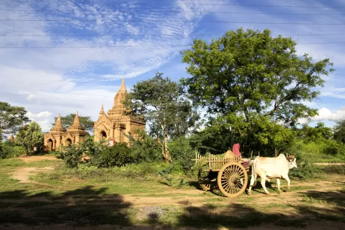 Framed Print : Oxcart Passing, Bagan Framed Print : Oxcart Passing, Bagan
