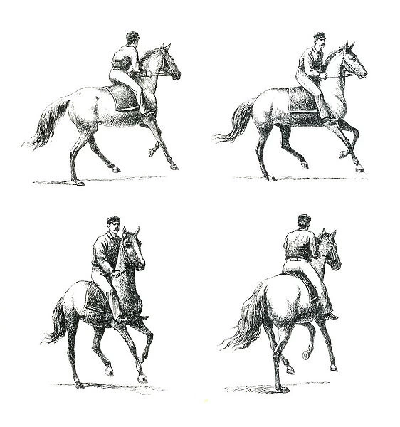 Paces of the Horse engraving