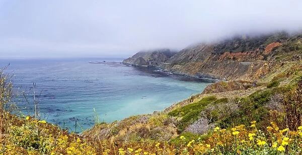 Pacific coast near Landels-Hill Big Creek, California, United States