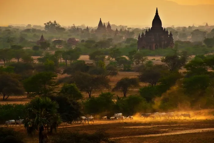 Framed Print : Pagodas field in Bagan Framed Print : Pagodas field in Bagan