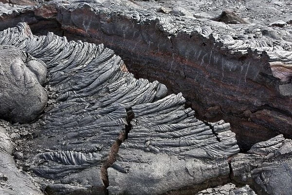 Pahoehoe lava, detail view, East Rift Zone, Kilauea volcano, Big Island, Hawaii, USA