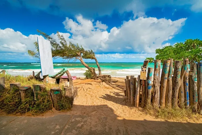 Framed Print : Paia Bay Beach Surf #6 Maui Hawaii Islands Framed Print : Paia Bay Beach Surf #6 Maui Hawaii Islands