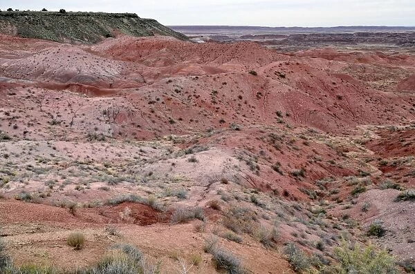 Painted Desert, hills, desert landscape, view from Tiponi Point, Painted Desert, Holbrook, Arizona, United States