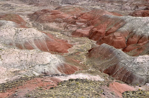 Painted Desert, hills, desert landscape, view from Tawa Point, Painted Desert, Holbrook, Arizona, United States