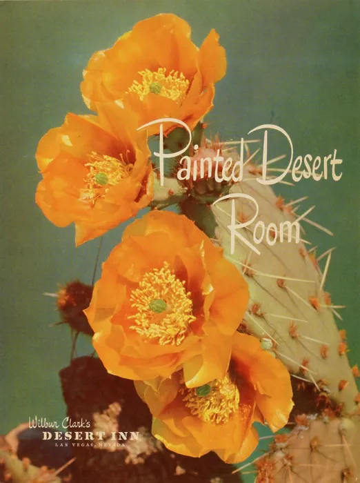 Framed Print : Painted Desert Room Framed Print : Painted Desert Room