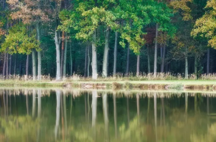 Framed Print : Painted nature Framed Print : Painted nature