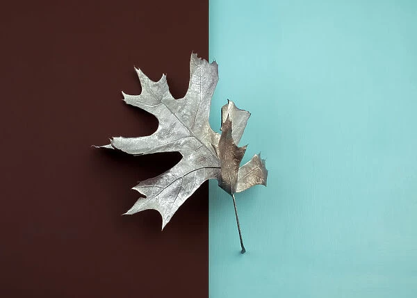 Painted silver oak leaf on brown and blue color blocked background
