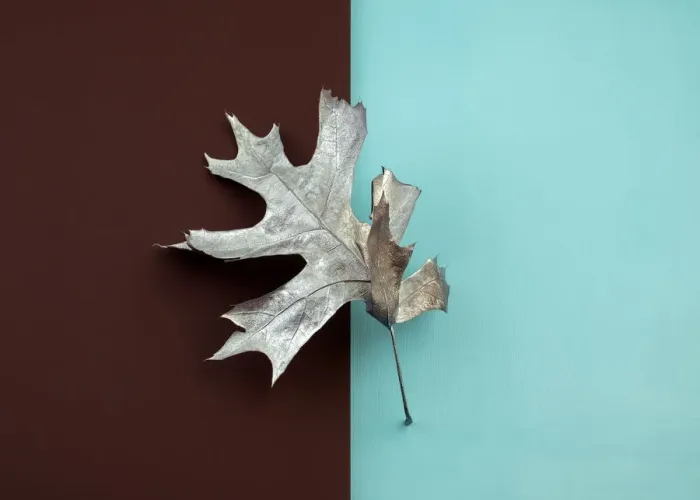 Framed Print : Painted silver oak leaf on brown and blue color blocked background Framed Print : Painted silver oak leaf on brown and blue color blocked background