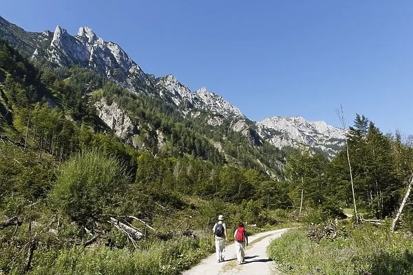 Pair hiking in the Sengsen Mountains in Limestone Alps National Park, Pyhrn-Eisenwurzen region, Traunviertel district, Upper Austria, Austria, Europe
