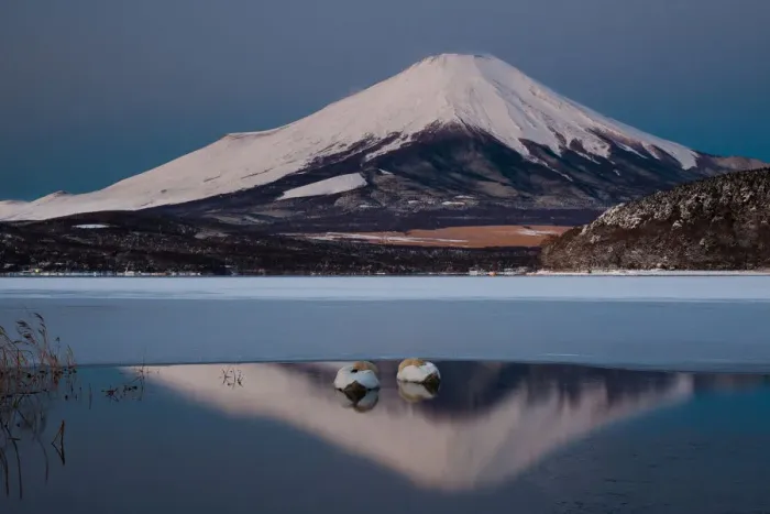 Framed Print : A pair of mute swans in Lake Kawaguchi in the reflection of Mt. Fuji, Japan Framed Print : A pair of mute swans in Lake Kawaguchi in the reflection of Mt. Fuji, Japan
