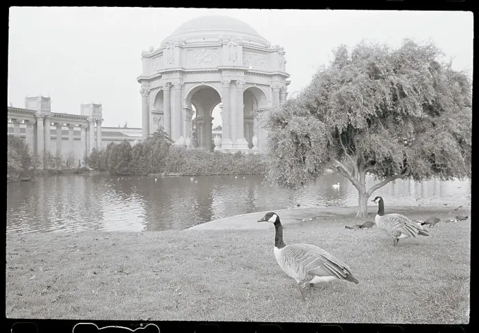 Framed Print : The Palace of Fine Arts in San Francisco Framed Print : The Palace of Fine Arts in San Francisco