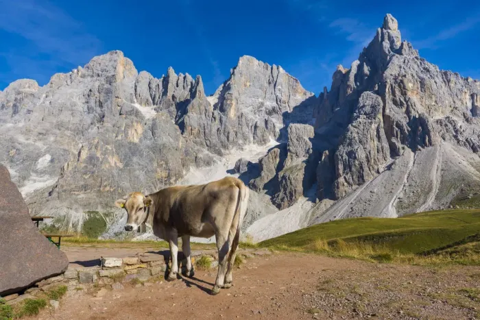 Framed Print : Pale di San Martino Framed Print : Pale di San Martino