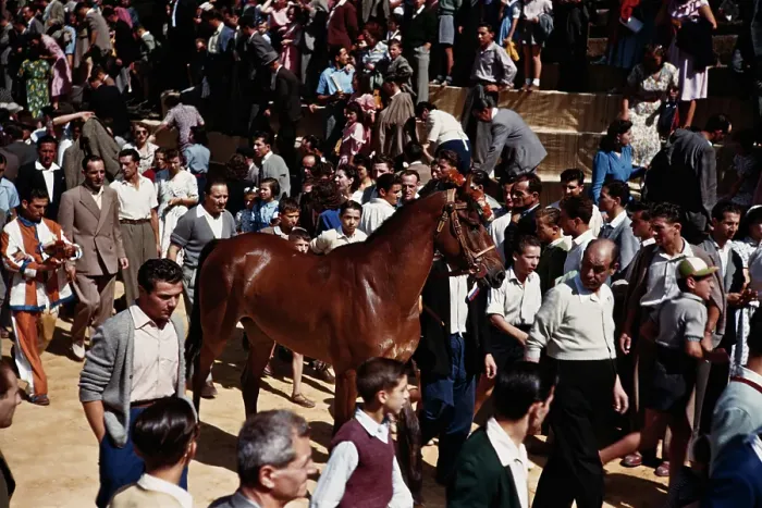 Framed Print : Palio Di Siena Framed Print : Palio Di Siena